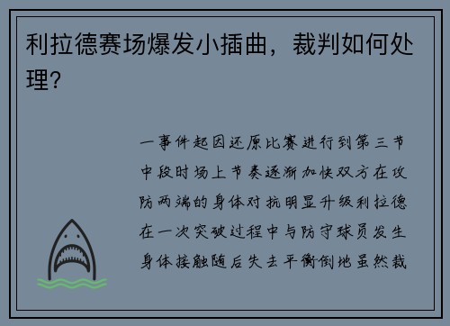 利拉德赛场爆发小插曲，裁判如何处理？